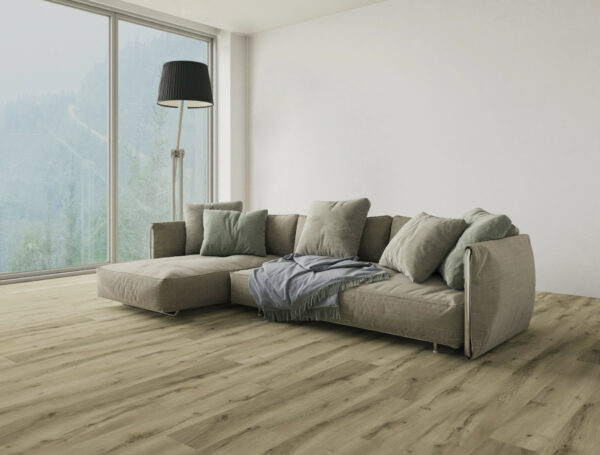 SCHEDA TECNICA SPC